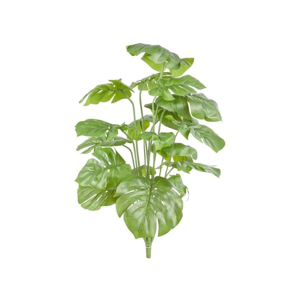 PIANTA PHILODENDRO X18 65CM